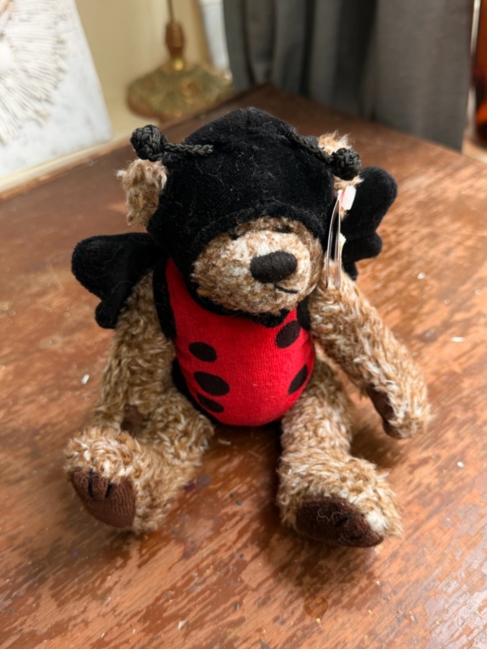 Ty Plush Bear in Red Ladybug Outfit with Black Accents